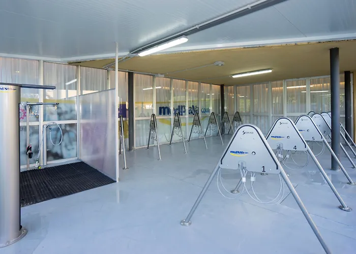 Hotel que admite mascotas: Medplaya Hotel Calypso